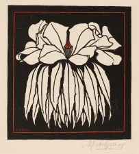 Power to the Flower Fotobeschrijving: Julie de Graag, Godetia, 1919, collectie Drents Museum, schenking Stichting Schone