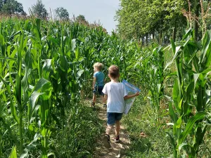 Leuk voor de kinderen. Foto: Hein Habraken