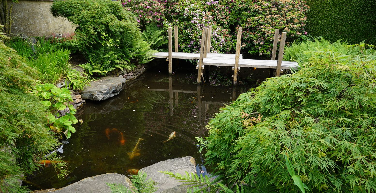 De Holland Koi Show is dit jaar in Bloemenpark Appeltern. In dit mooie park vol tuinen vind je onder andere veel vijvers én koikarpers, een goede match dus. Foto: DagjeWeg.NL © Tonny van Oosten