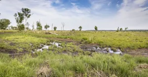 Het Fochteloërveen: verhalen van toen en nu Het Fochteloërveen: verhalen van toen en nu | Foto geüpload door gebruiker Natuurmonumenten.