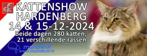 foto Kattenvereniging Mundikat