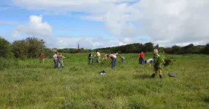 Vrijwilligerswerk in de natuur van Nationaal Park Schiermonnikoog | Foto geüpload door gebruiker Natuurmonumenten.