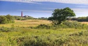 Struinen langs kwelder, duin en strand | Foto geüpload door gebruiker Natuurmonumenten.