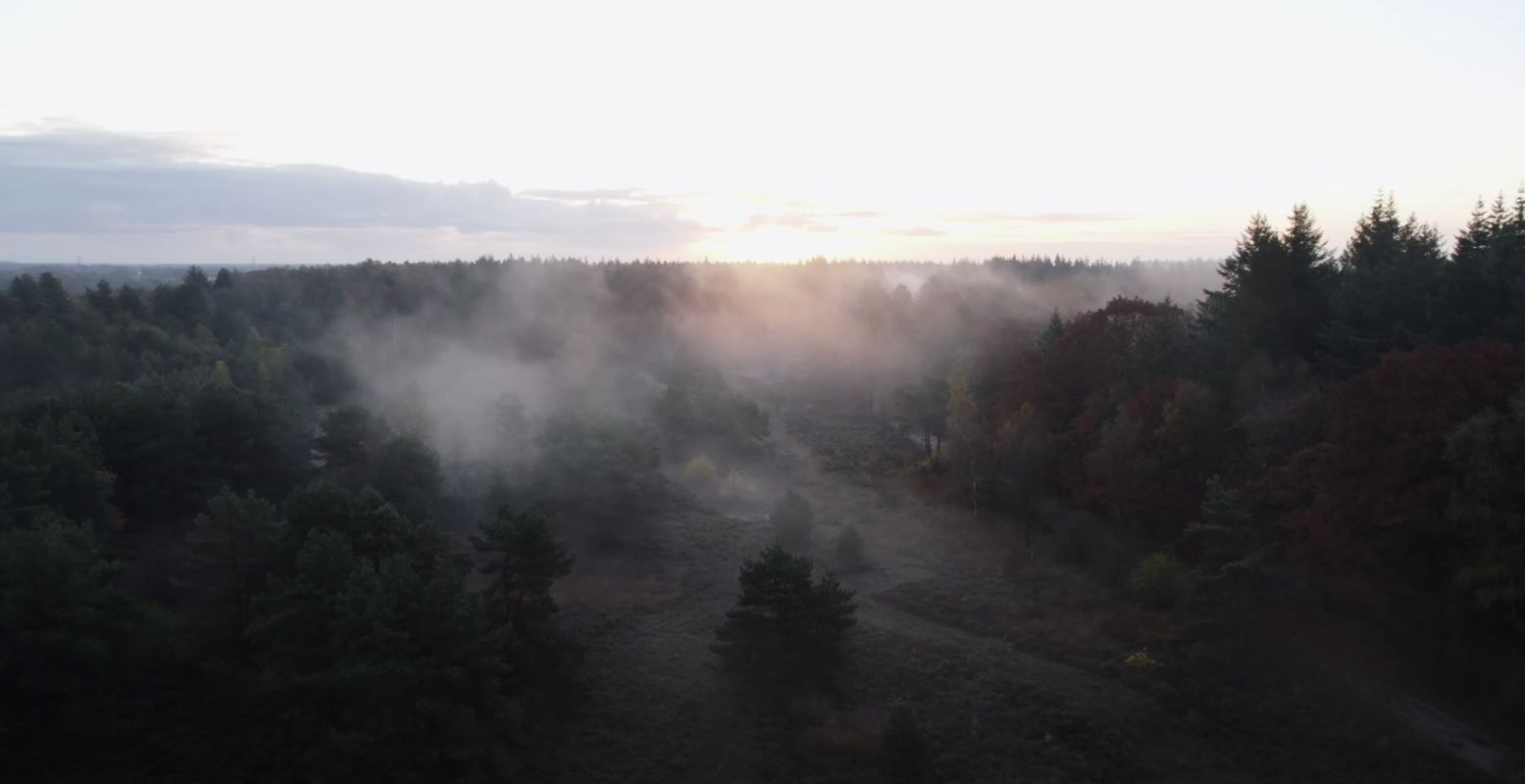 Op het Torenpad doorkruis je de mooiste plekjes van het Overijsselse landschap. Beeld: Still uit promotiefilm. Overijssel.