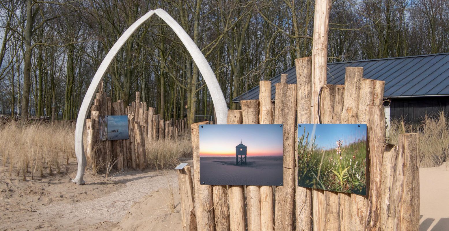 In de waddenbelevenis van Dierenpark Hoenderdaell voelt het bijna echt als op de Wadden. Foto: Dierenpark Hoenderdaell