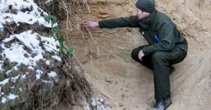 Geo-excursie Kaapse Bossen: Een tijdreis te voet over de Heuvelrug Geo-excursie Kaapse Bossen: Een tijdreis te voet over de Heuvelrug | Foto geüpload door gebruiker Natuurmonumenten.