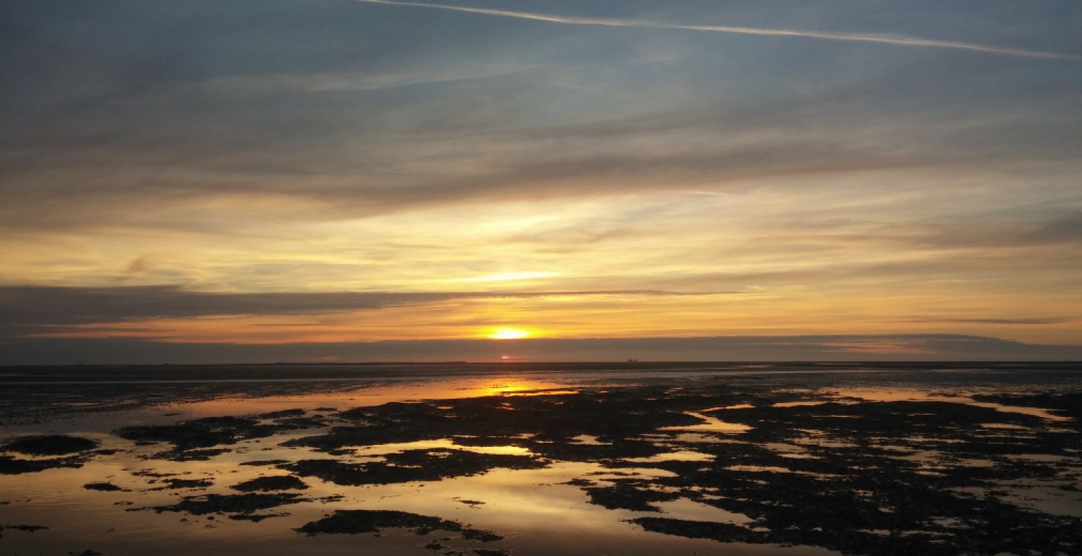 De ultieme plek om tot rust te komen tijdens je reis door Nederland: de Wadden. Foto: DagjeWeg.NL.