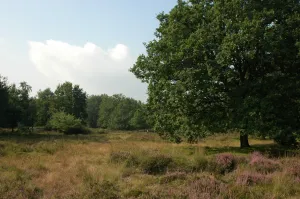 Foto: Limburgs Landschap Gouda | Foto geüpload door gebruiker limburgslandschap