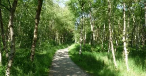 Duin-en-boswandeling Schiermonnikoog | Foto geüpload door gebruiker Natuurmonumenten.