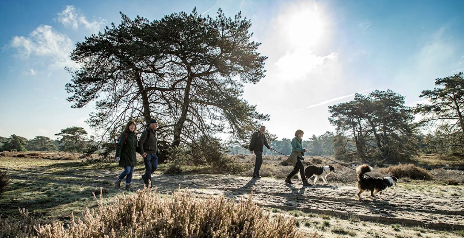 Het is altijd heerlijk wandelen en fietsen in de mooie natuur van Nationaal Park De Hoge Veluwe. Foto: Nationaal Park De Hoge Veluwe © Robert Modderkolk