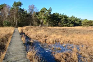 Winterwandeling Foto geüpload door gebruiker import Geldersch Landschap en Kasteelen