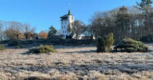 Op stap met de boswachter op de Sprengenberg Op stap met de boswachter op de Sprengenberg | Foto geüpload door gebruiker Natuurmonumenten.