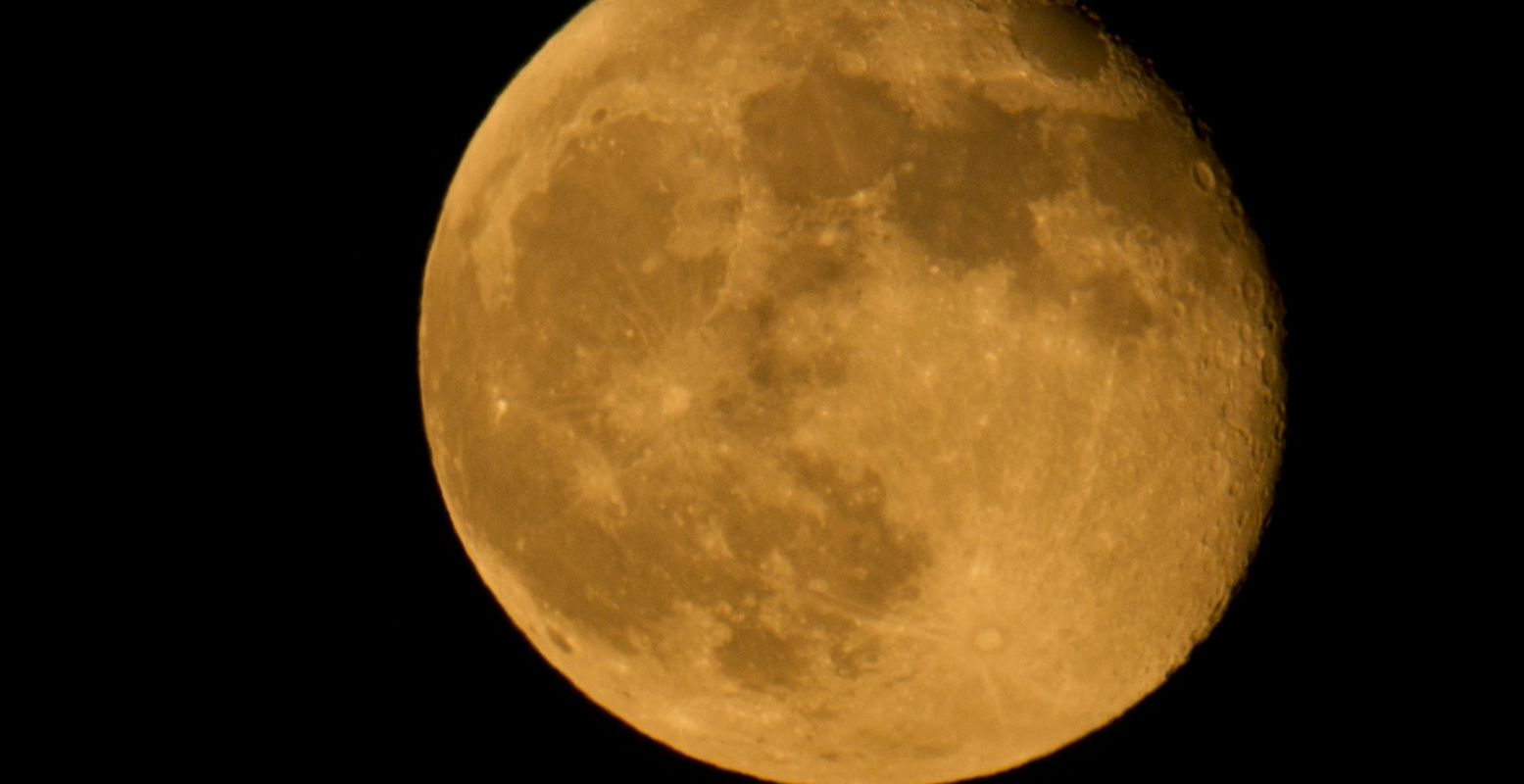 Wandelen door de natuur onder de volle maan. Magisch! Foto: Peter Thönnissen