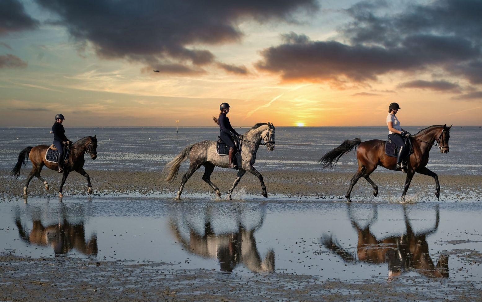 Het strand verkennen te paard: een geweldige ervaring. Foto Andreas Iken via  Pixabay 