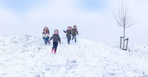 Kom naar het Twinkelende Winterfeest in het Dwingelderveld Kom naar het Twinkelende Winterfeest in het Dwingelderveld | Foto geüpload door gebruiker Natuurmonumenten.