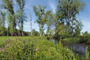 Foto: Limburgs Landschap Gouda | Foto geüpload door gebruiker limburgslandschap