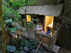 Overnacht in een Jungle Cabana, midden in de Jungle Dome. Foto: Centerparcs