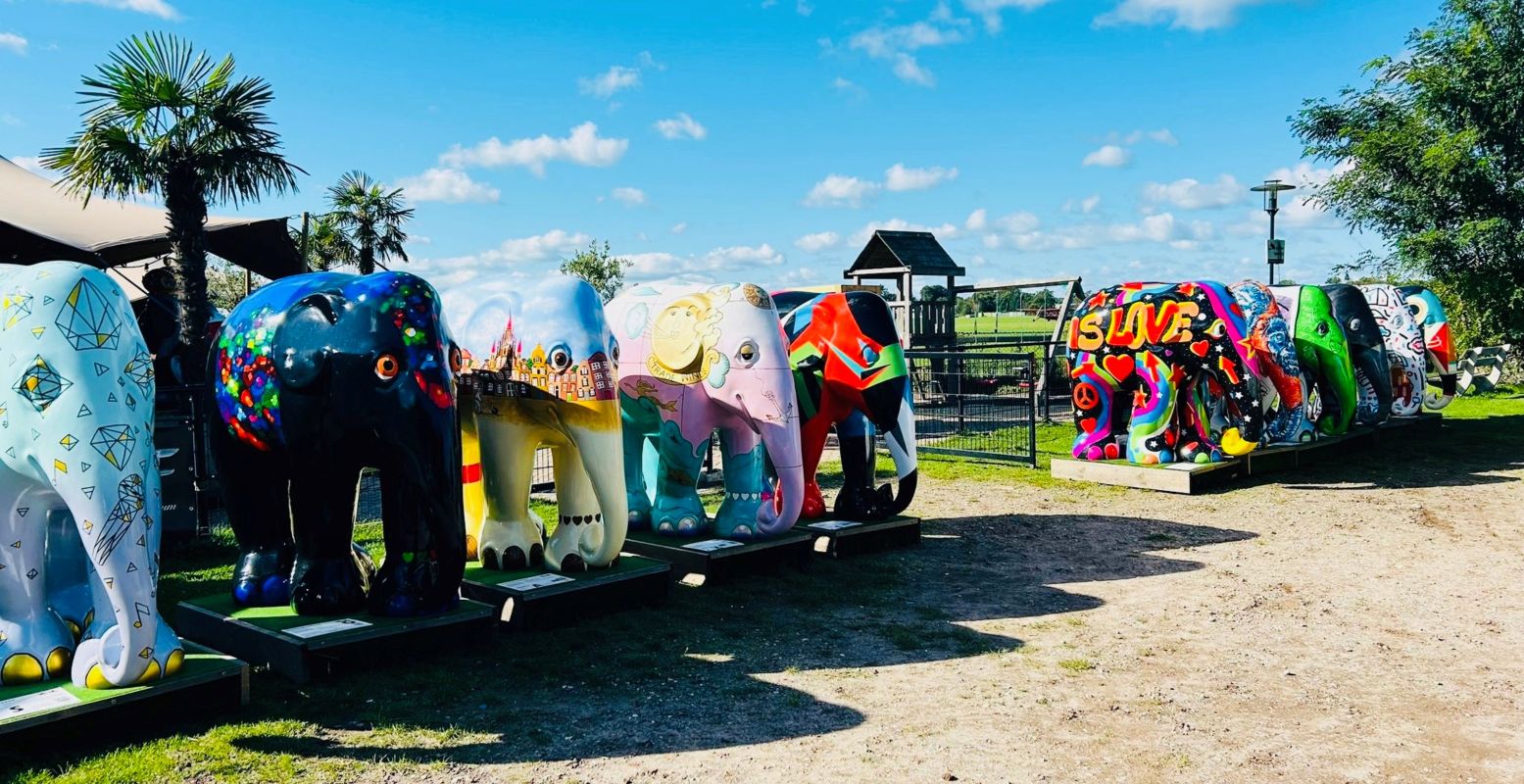 De Elephant Parade is een wereldberoemde kunstexpositie, die eerder al te zien was in grote steden als Bangkok, Parijs en Londen. Foto: Elephant Parade