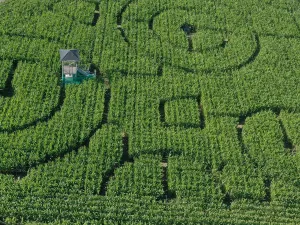 Maisdoolhof Luchtfoto doolhof, archief. Foto: Hein Habraken