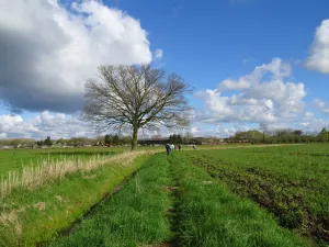 Ontdek het Aschbroek en Winkel Fotobeschrijving: Ontdek het verrassend weidelandschap in Aschbroek. Foto: Piet Fleuren.