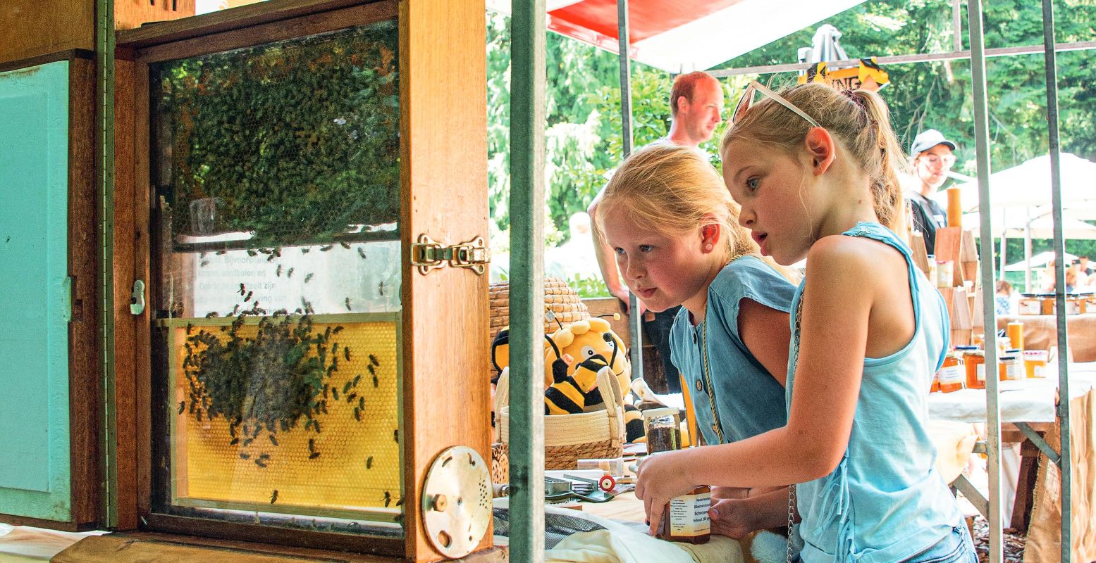 Op de Landelijke Open Imkerijdagen zie je de bijen op veilige afstand van héél dichtbij! Foto: © Abe Maaijen