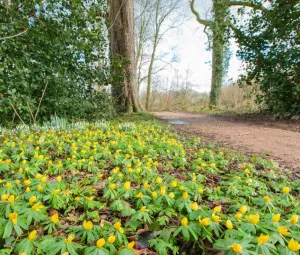 Stinzenwandeling Foto geüpload door gebruiker Geldersch Landschap en Kasteelen