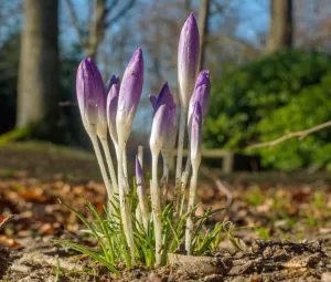 Voorjaarswandeling Foto geüpload door gebruiker Geldersch Landschap en Kasteelen