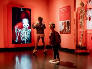 Spannend en interactief. Foto: Discovery Museum