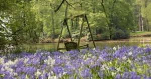 Cultuurhistorische wandeling landgoed Oldenaller | Foto geüpload door gebruiker Natuurmonumenten.