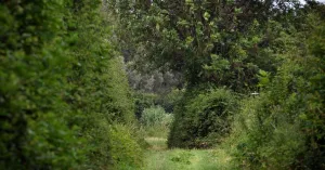 Dwingelderveldlezing: Het Nederlandse cultuurlandschap Dwingelderveldlezing: Het Nederlandse cultuurlandschap | Foto geüpload door gebruiker Natuurmonumenten.