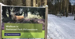 Met de gids op stap in Januari Met de gids op stap in Januari | Foto geüpload door gebruiker Natuurmonumenten.