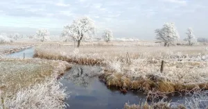 Winter struintocht in De Wieden Winter struintocht in De Wieden | Foto geüpload door gebruiker Natuurmonumenten.