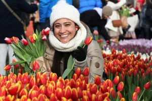 Fotobeschrijving: Tulpendag. Foto: (c) Bloemenbureau Holland.