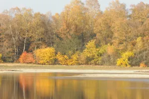 Herfstwandeling Landgoed de Hamert Foto: Limburgs Landschap Gouda | Foto geüpload door gebruiker limburgslandschap