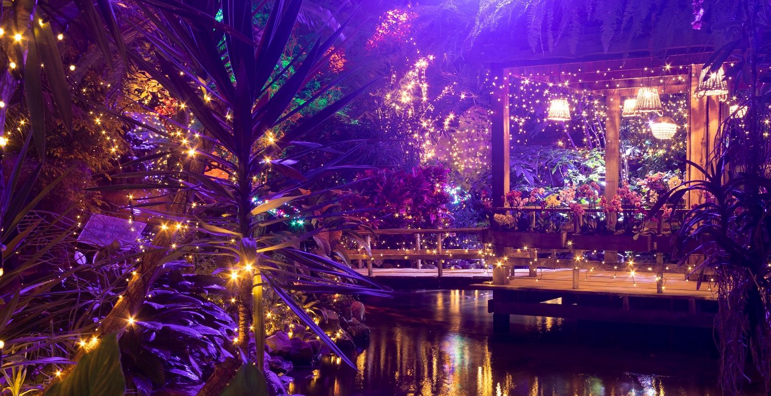 Beleef de kerstsfeer in een jungle, betoverend mooi! Vooral tijdens de kaarsjesavonden. Foto: Pantropica