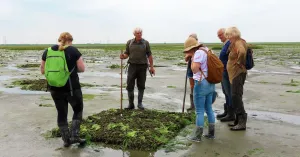 Avontuurlijke natuurtocht door het Verdronken Land van Zuid-Beveland Avontuurlijke natuurtocht door het Verdronken Land van Zuid-Beveland | Foto geüpload door gebruiker Natuurmonumenten.