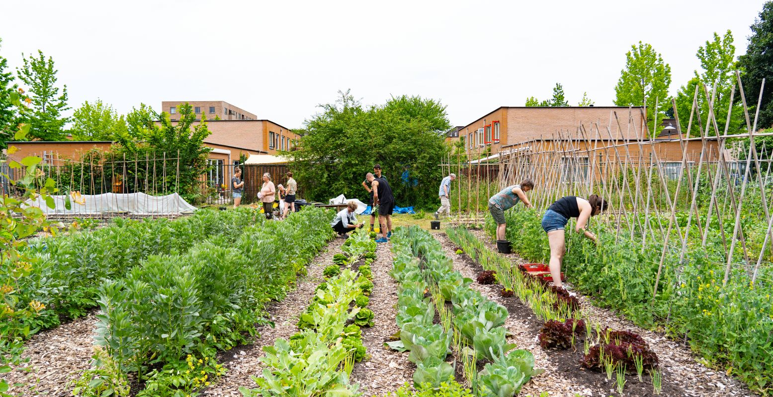 Aan de slag in buurttuin Plutodreef. Foto: Aafke Holwerda en Utrecht Natuurlijk.