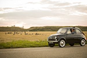 Fiat 500 rijden met lunch: Fiat & Picknick