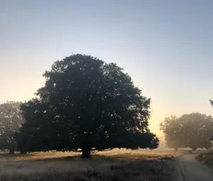 Lange wandeling Foto geüpload door gebruiker Geldersch Landschap en Kasteelen