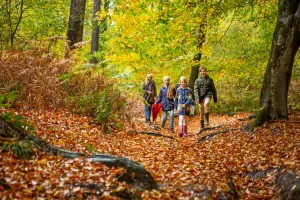 Fotobeschrijving: Kinderen herfstbos. Foto: Ton Rothengatter voor GLK