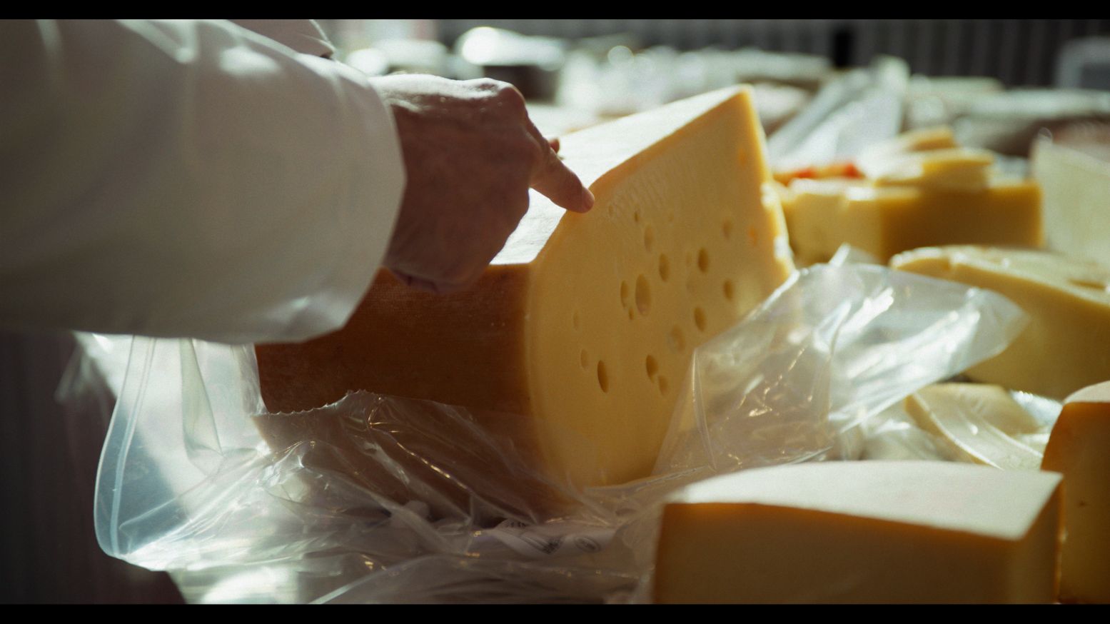 Duik in de wereld van kaas tijdens de film 'Shelf Life'. Foto: InScience