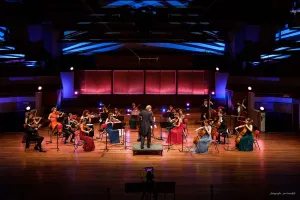 Concert Ciconia Consort: Zonnebloemen en lavendel Fotograaf: Jan Hordijk