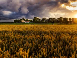 Je vindt het museum in de mooie Noordoostpolder. Foto: Museum Schokland © Michel Klooster