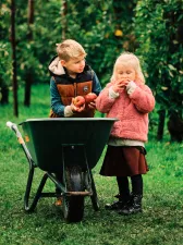 Pluk je eigen appels en peren Schokker Fotografie 