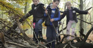 OERRR nesten bouwen in het Slotbos – Excursie in Burg Haamstede | Foto geüpload door gebruiker Natuurmonumenten.