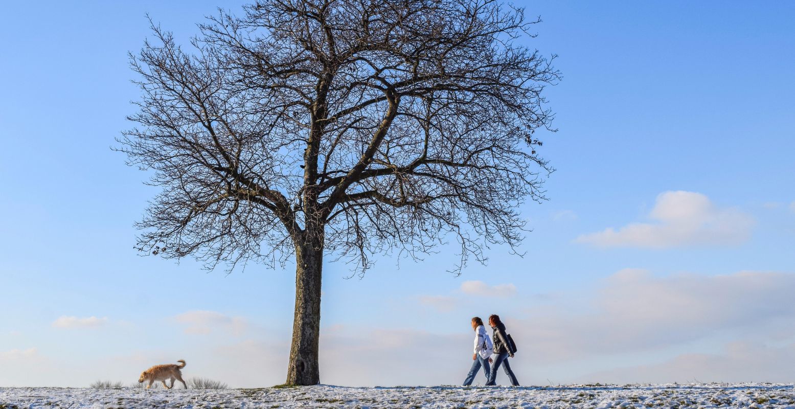 Maak een mooie kerstwandeling door de natuur. Of ga schaatsen, naar een museum... er is zoveel leuks te doen! Foto: via  Pixabay 