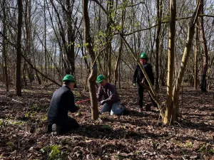 Hakhoutbrigades: evaluatie en vooruitblik Foto: Limburgs Landschap Gouda | Foto geüpload door gebruiker limburgslandschap