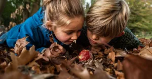 Kom speuren naar paddenstoelen bij Landgoed Voorstonden met OERRR | Foto geüpload door gebruiker Natuurmonumenten.