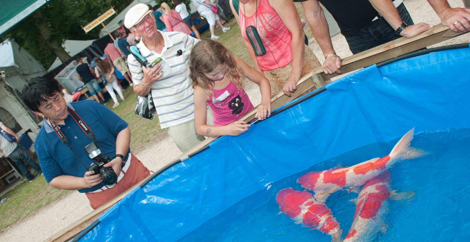 Bewonder de mooiste koikarpers tijdens de Holland Koi Show - het grootste koi spektakel ter wereld. Foto: Holland Koi Show