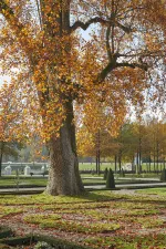 Herfstvakantie op Paleis Het Loo Foto: Paleis Het Loo